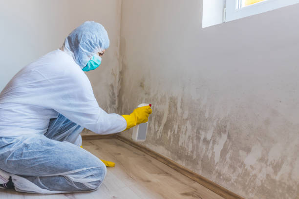 Bathroom Mold Removal assessment in Hatfield bathroom